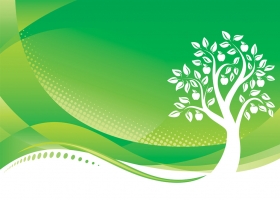 PROGETTO FINANZIATO ATTUATO -GREEN ECONOMY- - Delois International Cons. 